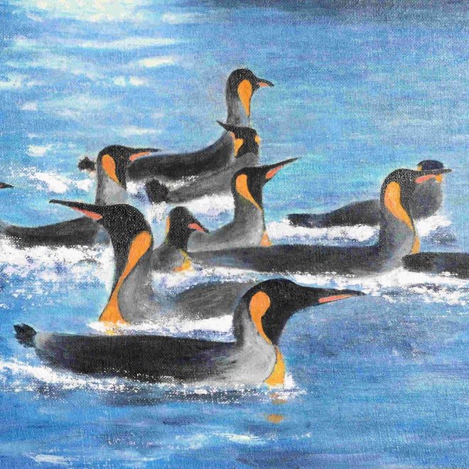 Flurry of king penguins (Paul Rodhouse)