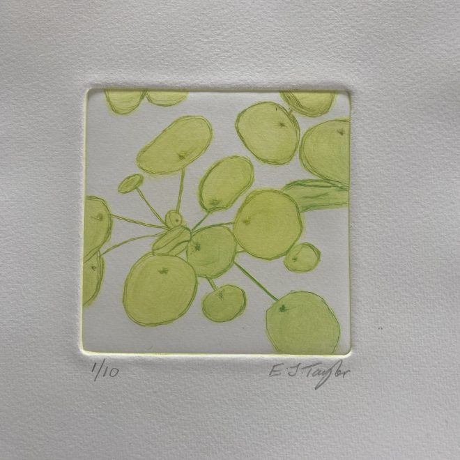 Leaves (Jane Taylor)