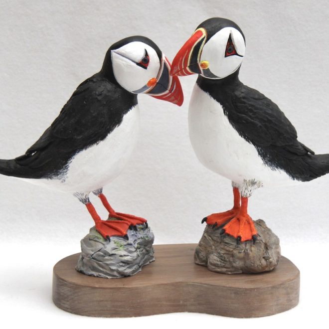 Puffins (Janice Anderson)