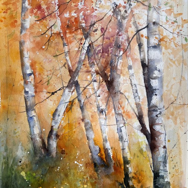 Autumn Light Helen Clarke
