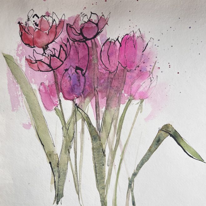 Pink Tulips Helen Clarke
