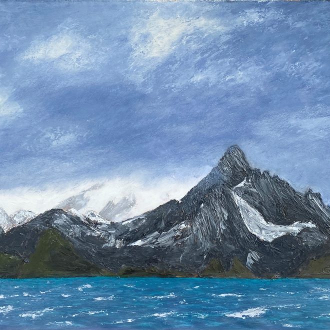 Antarctic light: South Georgia (Paul Rodhouse)