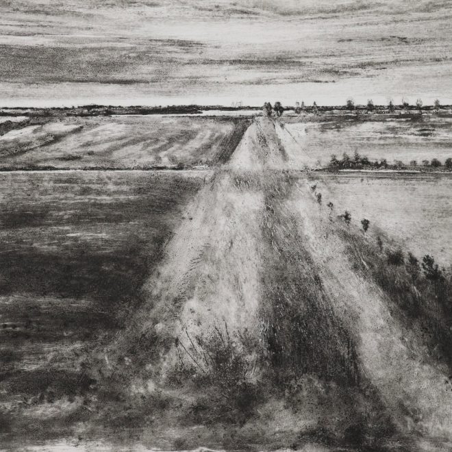 Ditch, Great North Fen (Iona Howard)