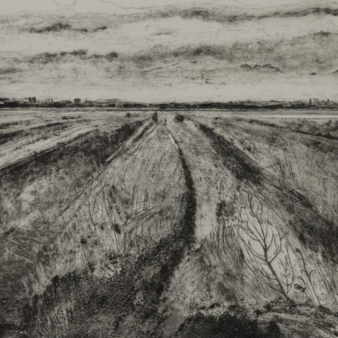 Dusk, Manor Drove (Iona Howard)