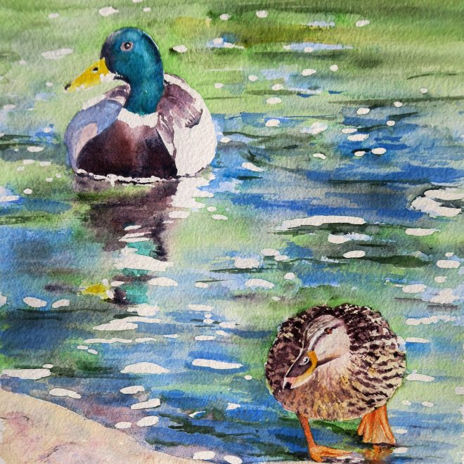 Happy Ducks (Chris Lockwood)