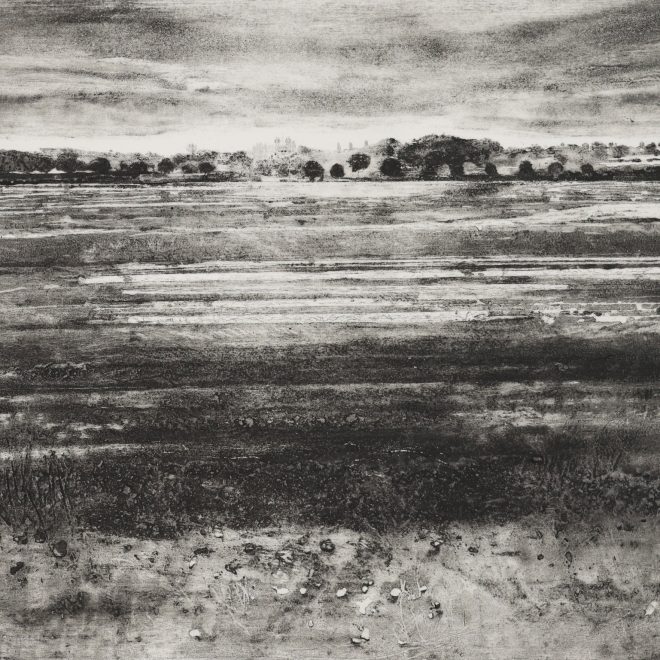 Harvest, Fen Edge (Iona Howard)