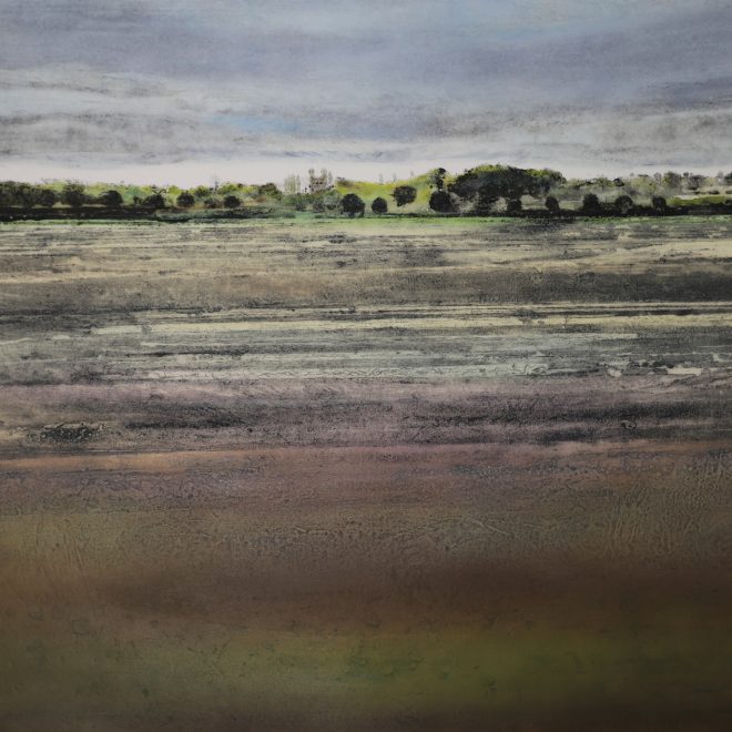 Harvest, Fen Edge V (Iona Howard)