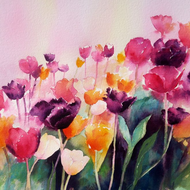 Tulip Medley (Chris Lockwood)