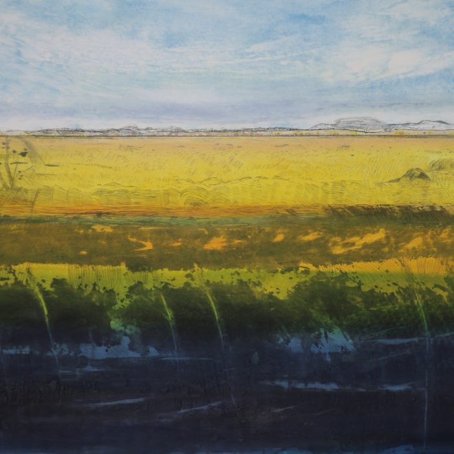 Wicken Fen XXIV (Iona Howard)