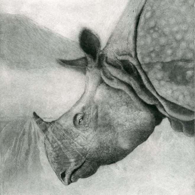 Javan Rhino Sachiko Purser