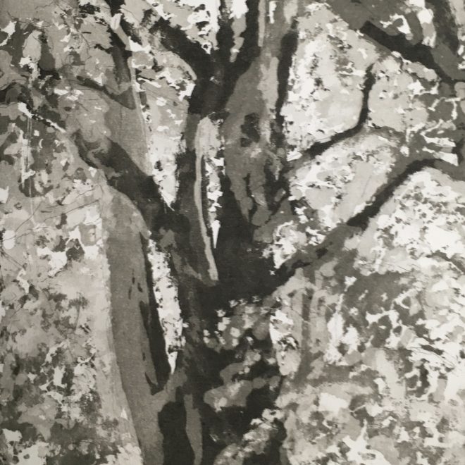 The Great Plane of Ely aquatint (John Preston)