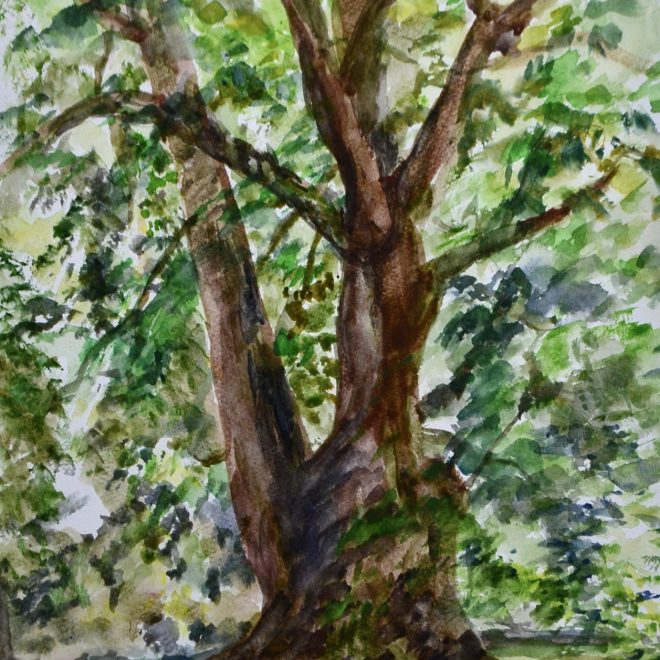 The Great Plane of Ely watercolour (John Preston)