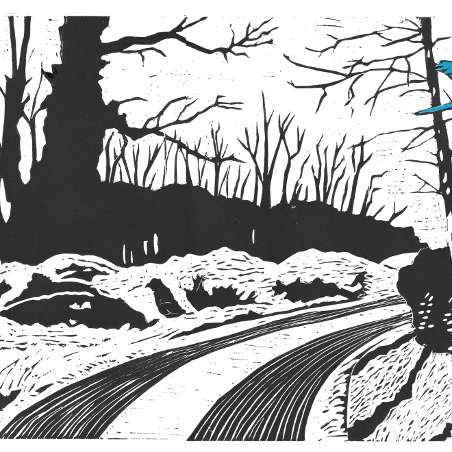 as I drove home from Kendal (jackie duckworth)