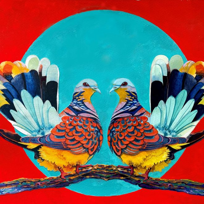 2 Turtle Doves (Colin Barker)