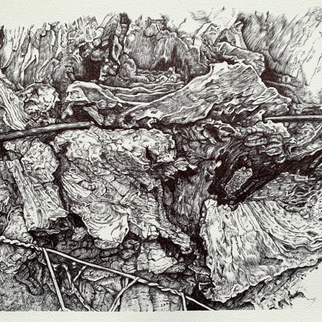 Across the Divide (Gail Hoban)