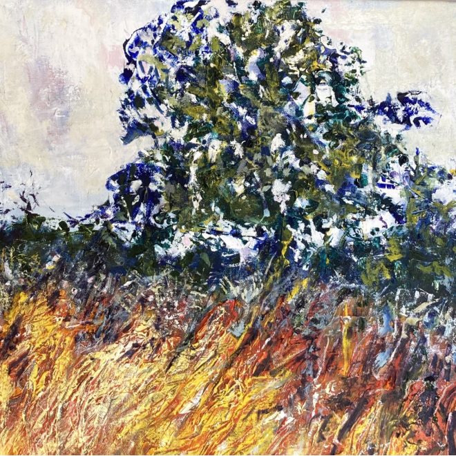 Field in late Summer (Susan Osborne)