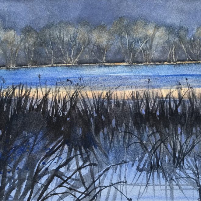 Lackford Reeds (Sue Lee)