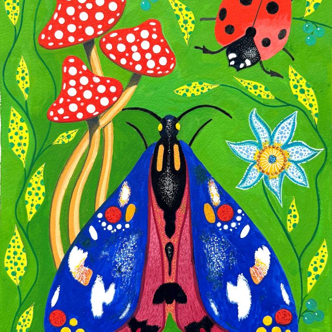 Spot Nature (Colin Barker)