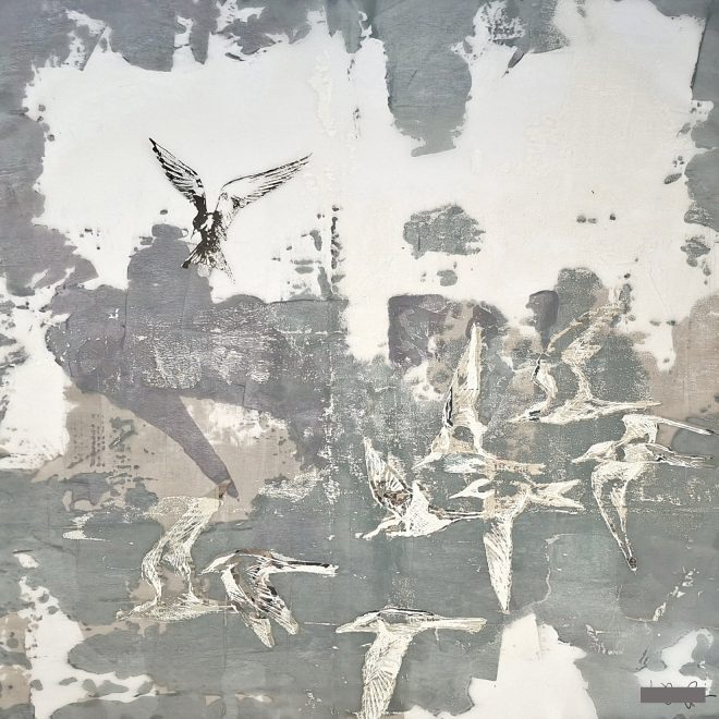 Tern III (Laura Chaplin)