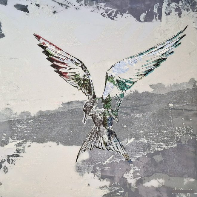 Tern IV (Laura Chaplin)
