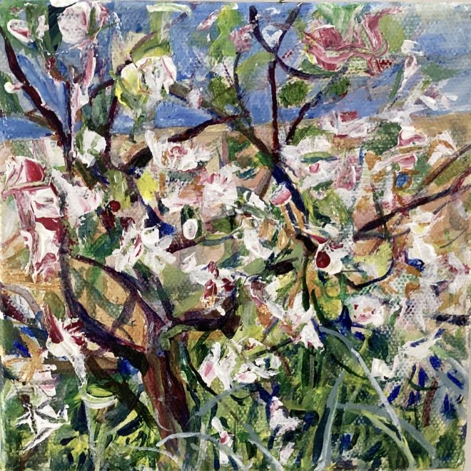 Apple Blossom, Ely (Susan Osborne)