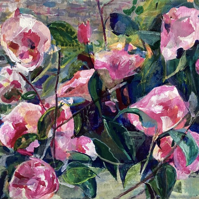 Camelia Blossom in Evening Light (Susan Osborne)