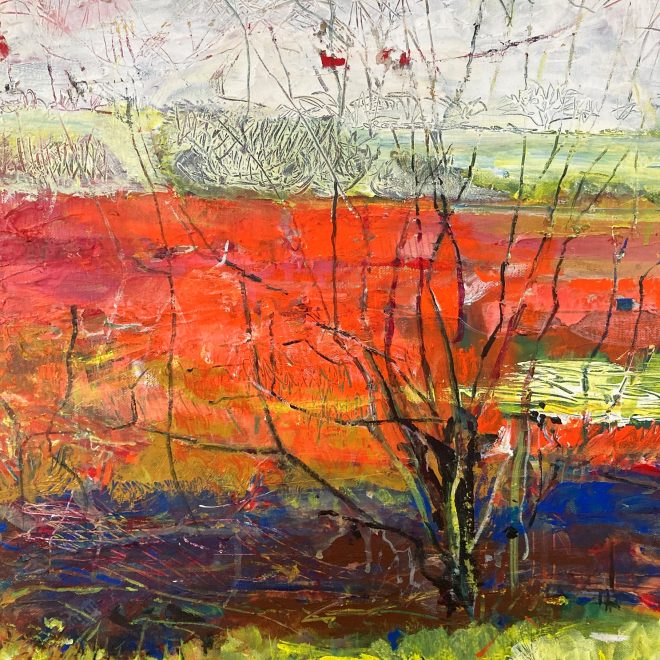 Tree, Early Morning (Susan Osborne)
