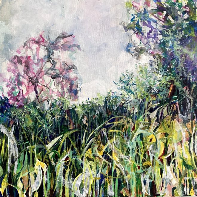 Waving Reeds, Wicken Fen, Summer 2025  (Susan Osborne)