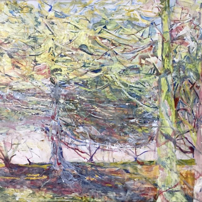 Winter Tree with shadows (Susan Osborne)