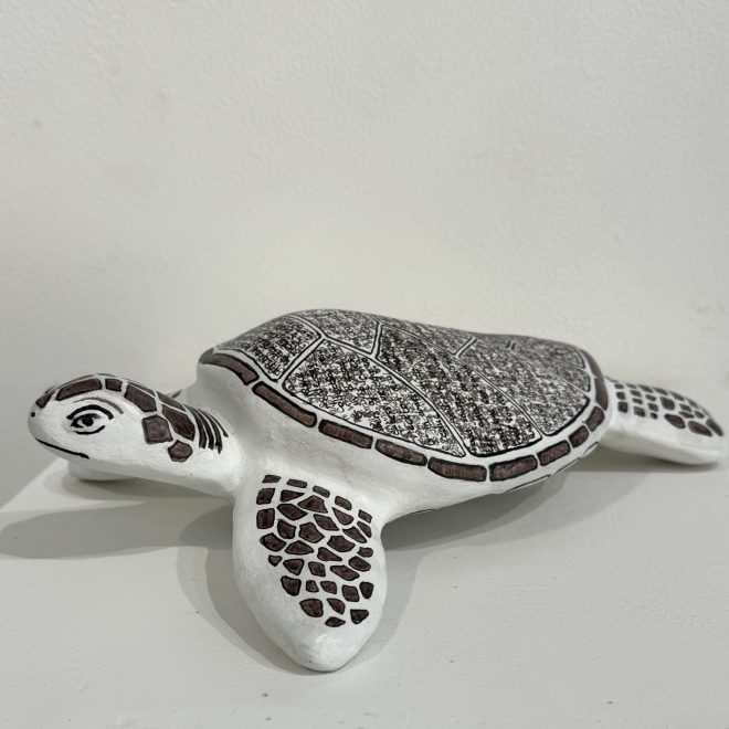 See Turtles_1(Sue Law)