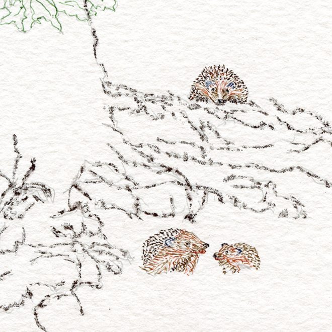 Branch of Plenty detail(Donna McLuskie)