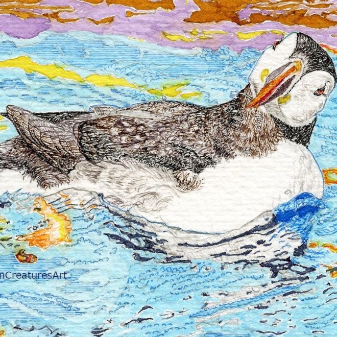 Curiosity of Springtime (Donna McLuskie)