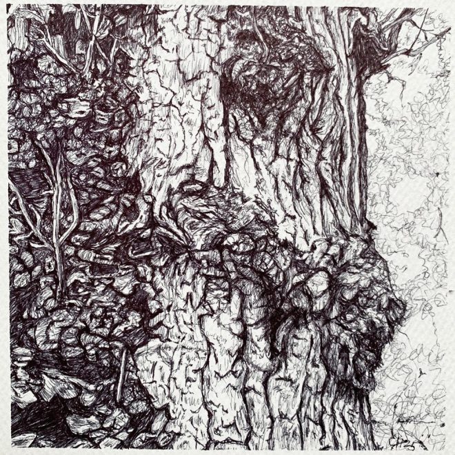 Going against the Flow (Gail Hoban)