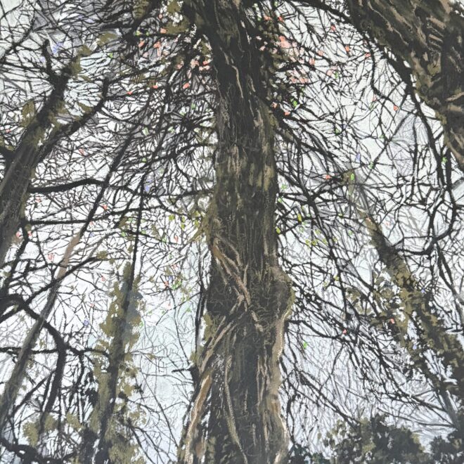 Fingle-trees (Katy Bailey)