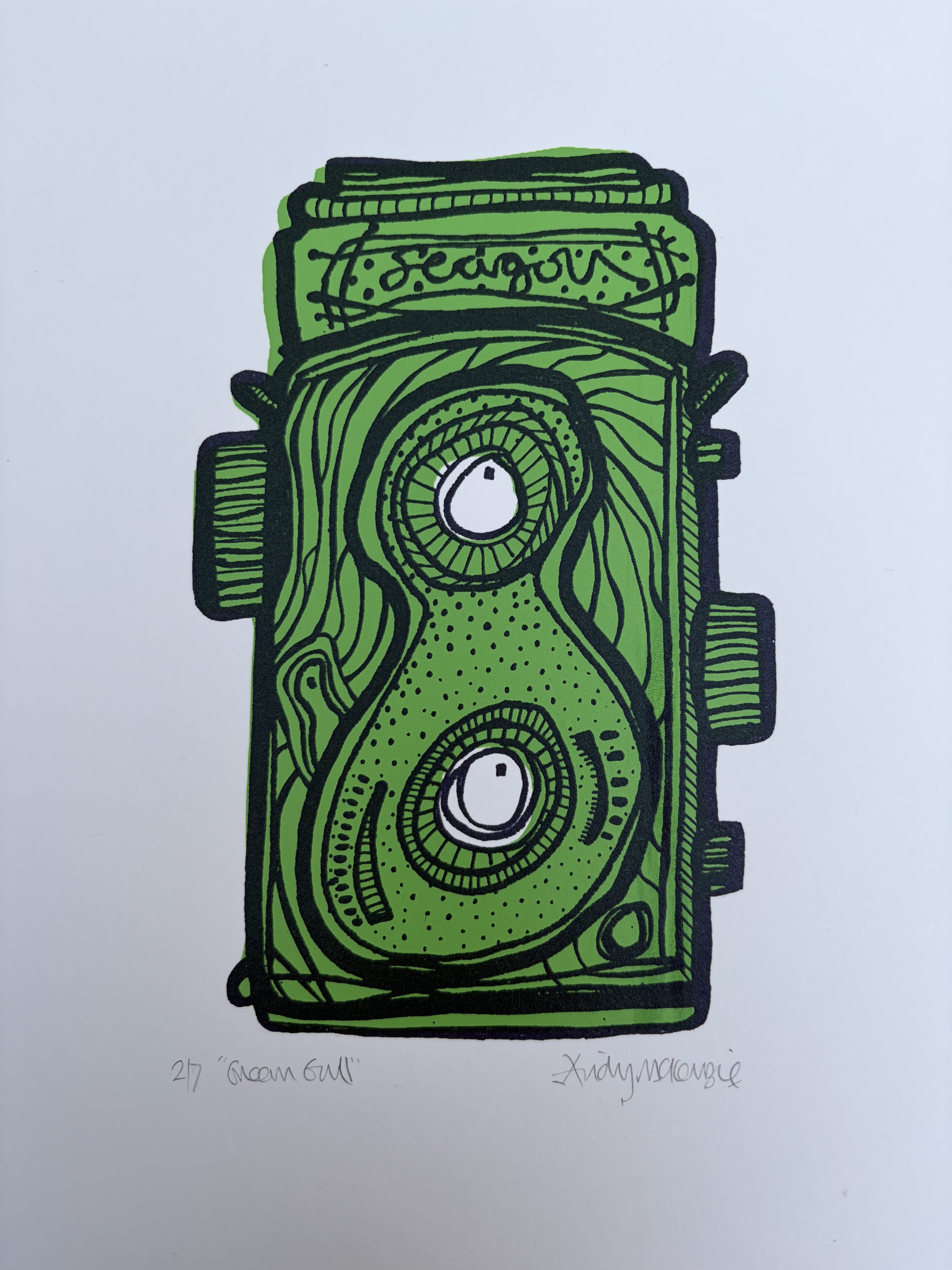 Green Gull (Andy Mckenzie)