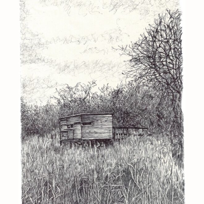 Hiding at Wicken Fen (Gail Hoban)