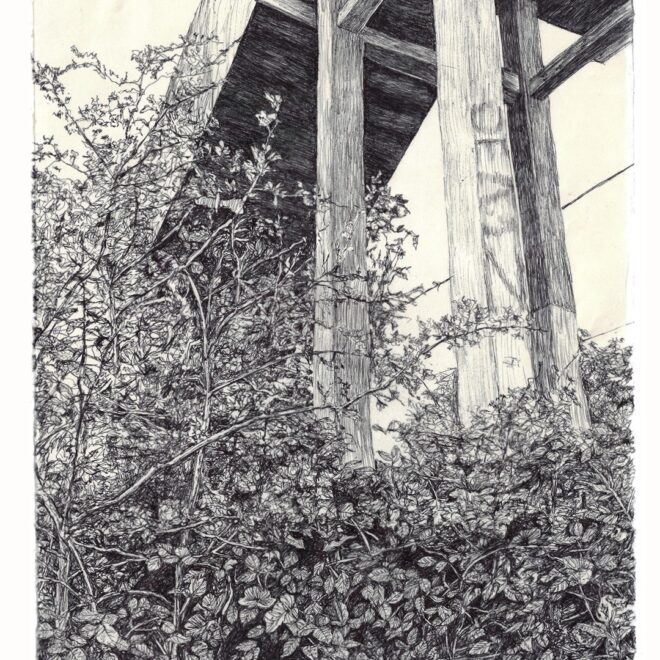 Stourbridge Common Footbridge (Gail Hoban)