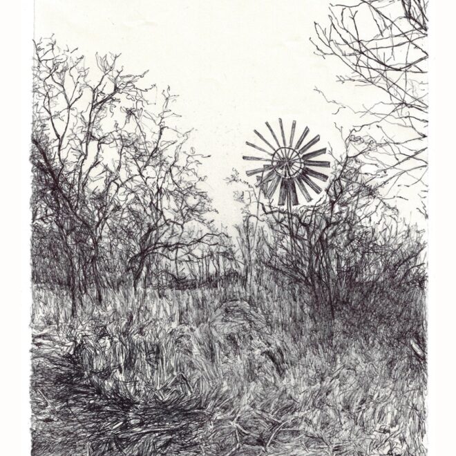 Wicken Fen Wind Pump (Gail Hoban)