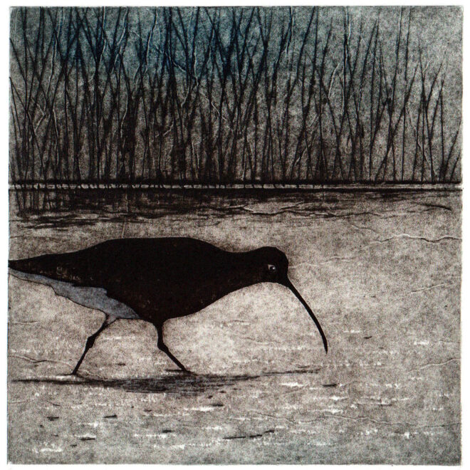 Curlew In The Creek (Alison Hullyer)