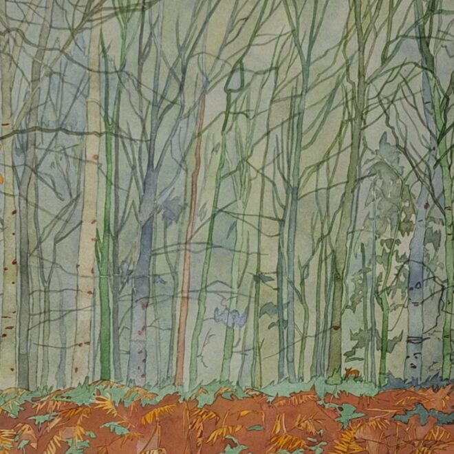 Misty Morning In Rowntree Wood (Katy Ellis)