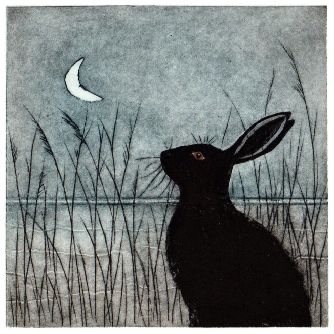 Moonlit Hare (Alison Hullyer)