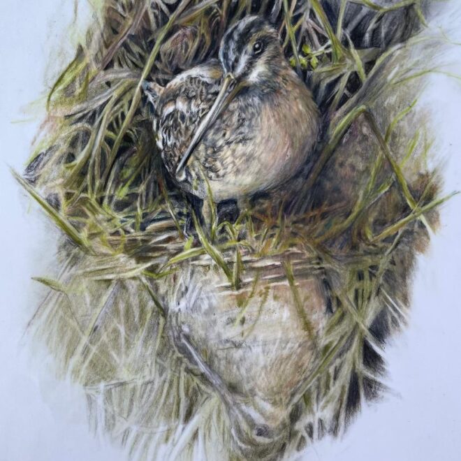 Reflection (Sue Jarvis)