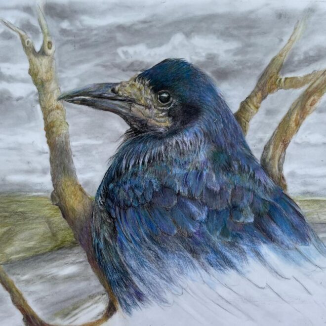 Sentinel (Sue Jarvis)