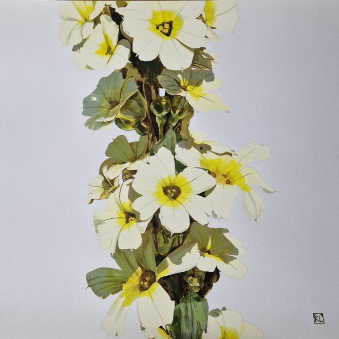 Sisyrinchium (Rosi Chappell)