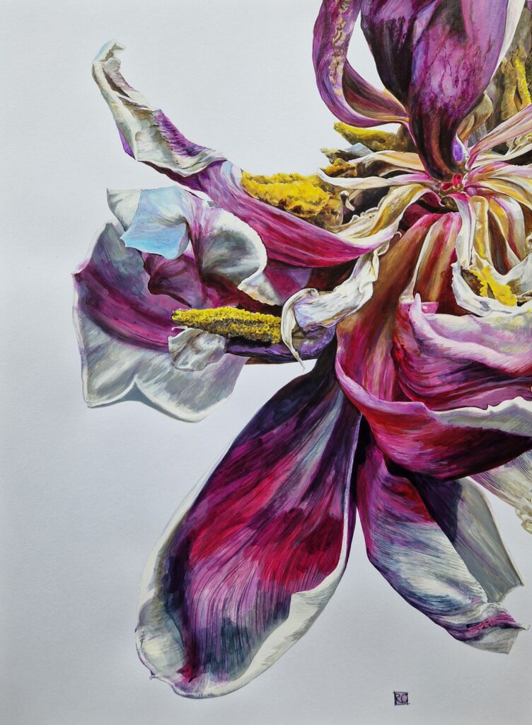 Tulip (Rosi Chappell)