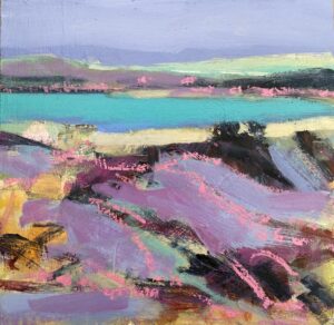 Secret Bay (Chrissie Havers)