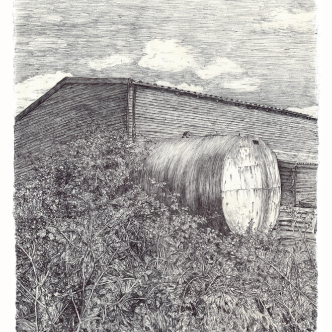 Farm oil cylinder engulfed by nature (Gail Hoban)