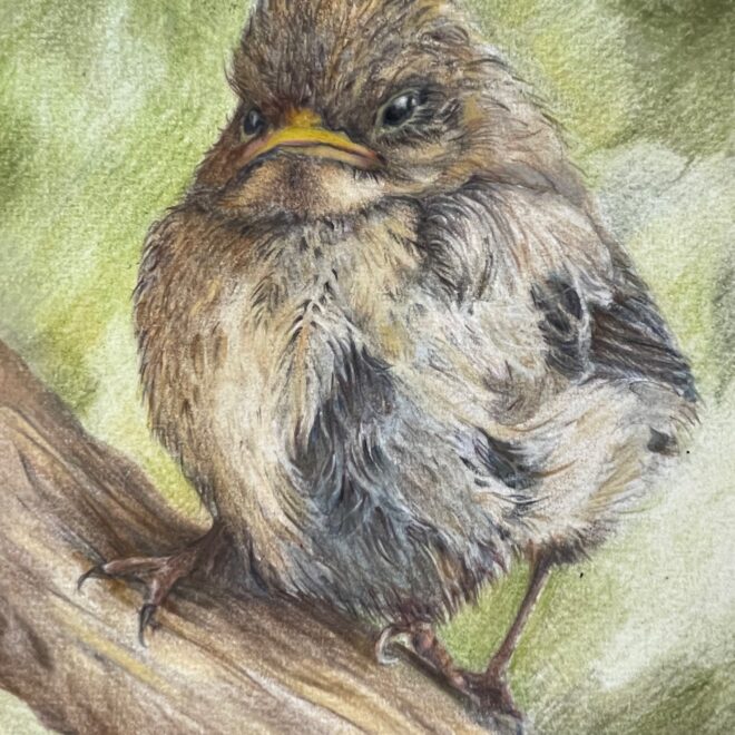 Attitude (Sue Jarvis)