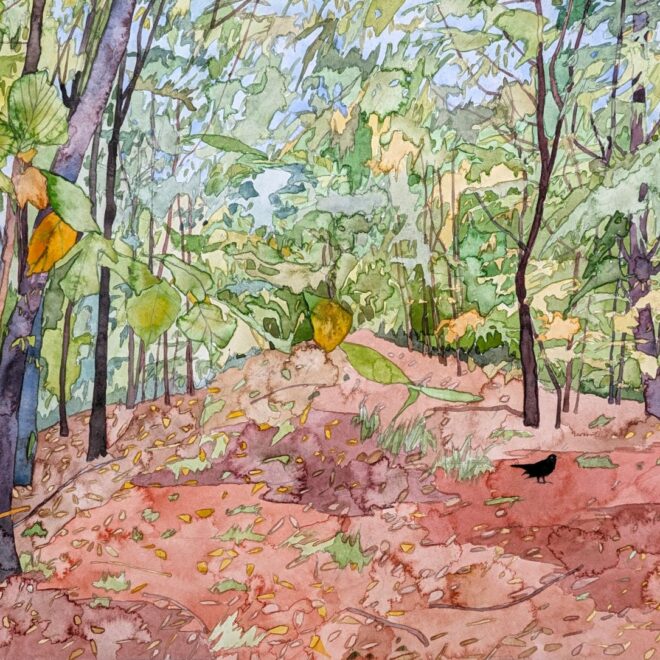 Autumn Beginnings In Pounce Wood (Katy Ellis)