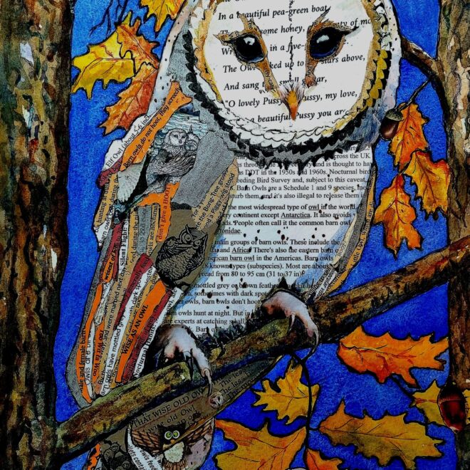 Barney Owl (Liz Dixon)